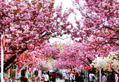 天平の丘公園